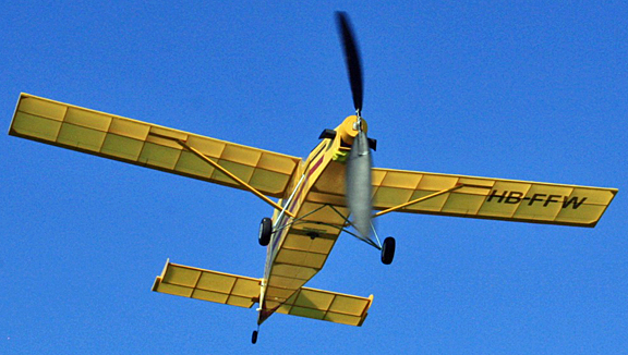 images/8in-72dpi-IMG_4891.png