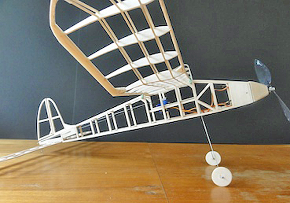 images/DSC06954.png