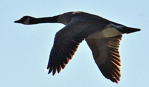 images/IMG_2241.png