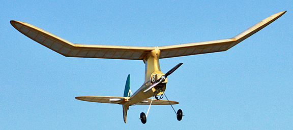 images/IMG_2247.png